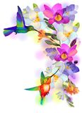 Rainbow Humming Bird With Valentines Card Stock Photo   Image