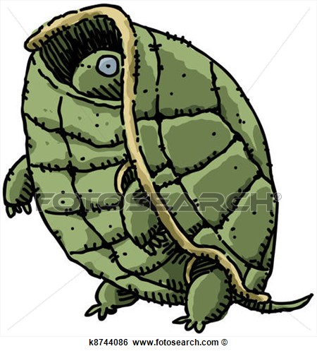 Stock Illustration Of Shy Turtle K8744086   Search Clip Art Drawings
