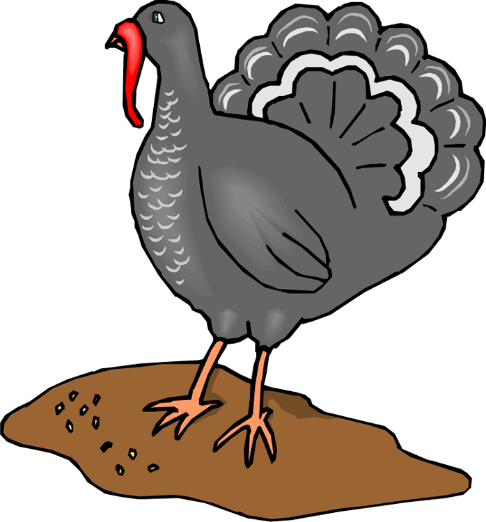 Turkey Clipart
