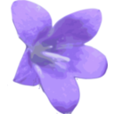 Violet Bug And Flower Clipart   Royalty Free Public Domain Clipart