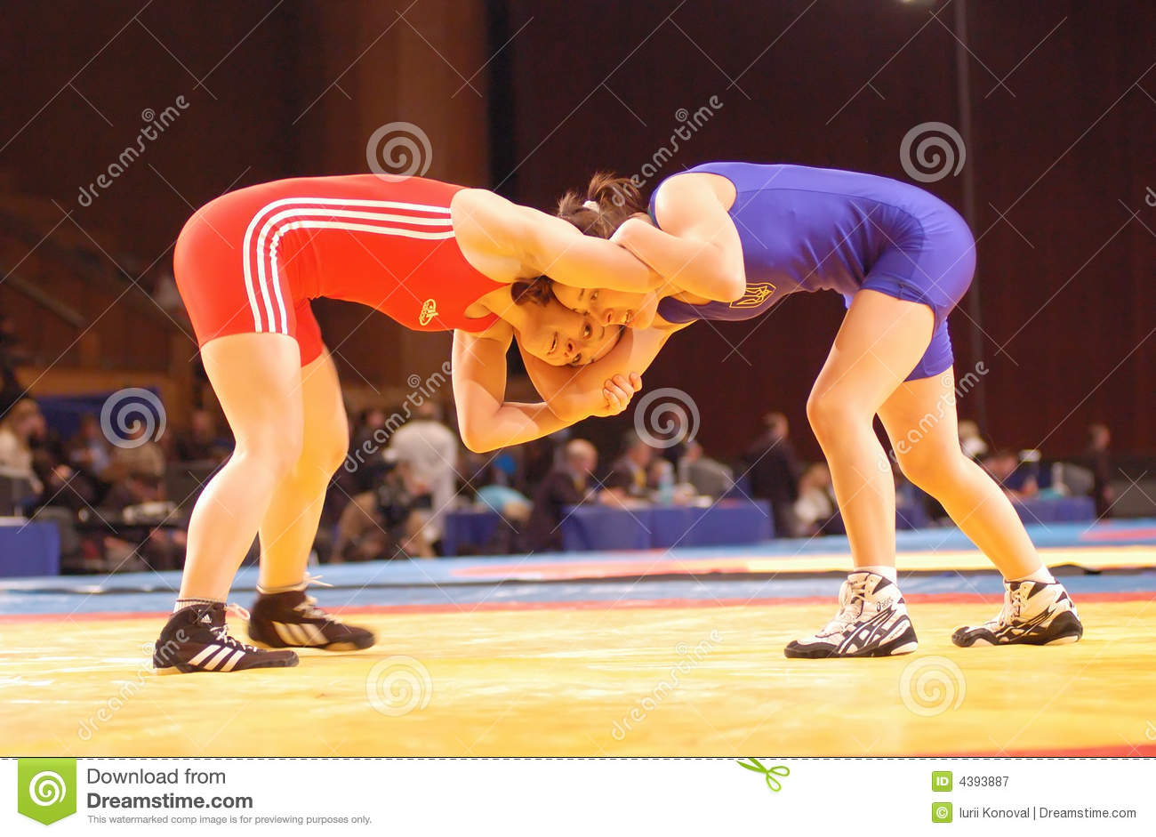 Wrestling Woman Editorial Photography   Image  4393887