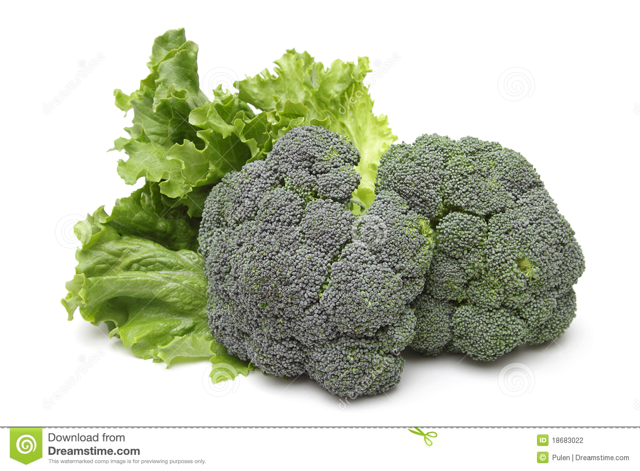 Broccoli And Leafs Of Salad Isolated On White Background
