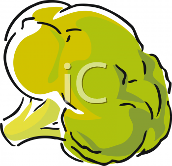 Find Clipart Broccoli Clipart Image 15 Of 16