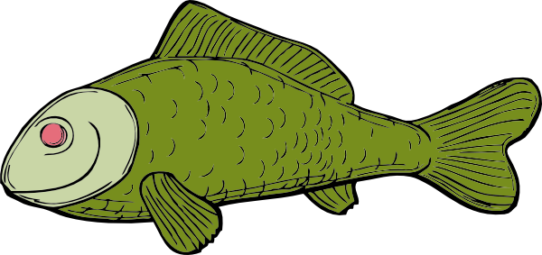 Green Fish Clip Art At Clker Com   Vector Clip Art Online Royalty