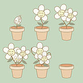 Illustration Of Flower Growth Demonstration Life Cycle   Royalty Free