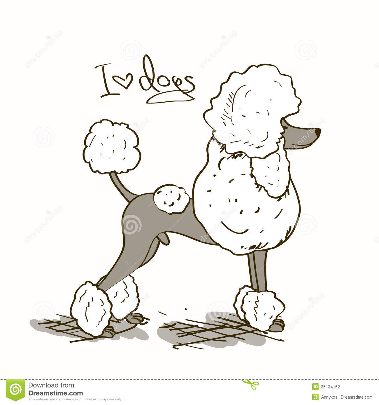 Illustration With Poodle Dog Stock Photography   Image  36134152