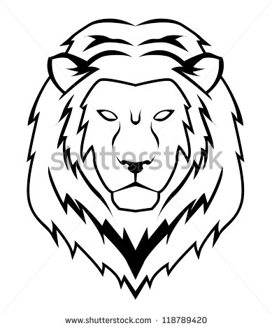 Lion Face Stock Photos Images   Pictures   Shutterstock