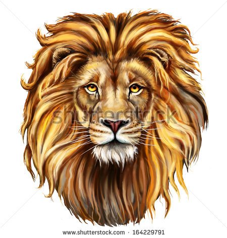 Lion Head Digital Painting  Lion Head In Front   Stock Photo