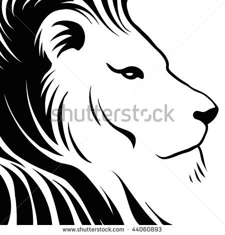 Lions Head Stock Photos Images   Pictures   Shutterstock