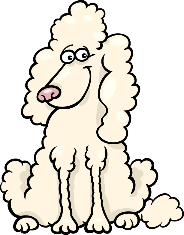 Poodle Cartoon Images Free Cliparts That You Can Download To You    