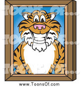 Royalty Free Stock Cartoon Designs Of Tiger School Mascots