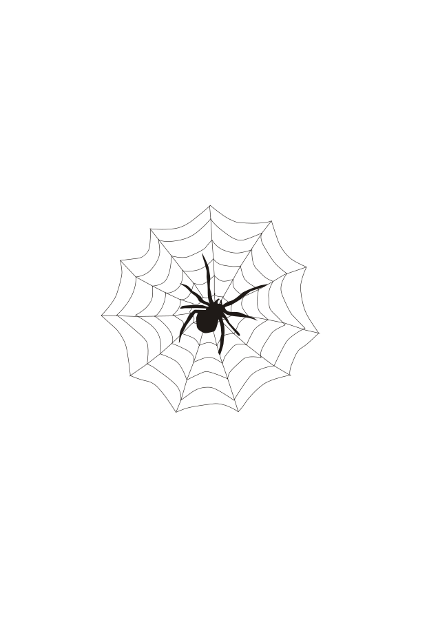 Spider   Web Large 900pixel Clipart Spider   Web Design    