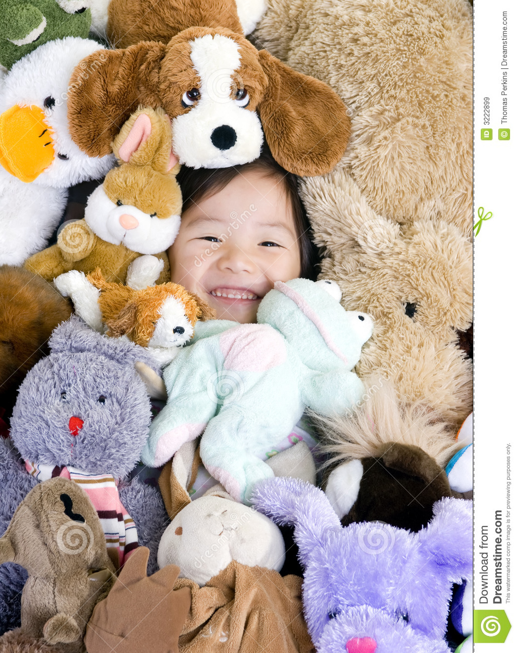 Stuffed Animals Royalty Free Stock Images   Image  3222899