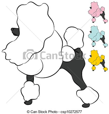 Vector   Groomed Miniature Poodle Dog   Stock Illustration Royalty
