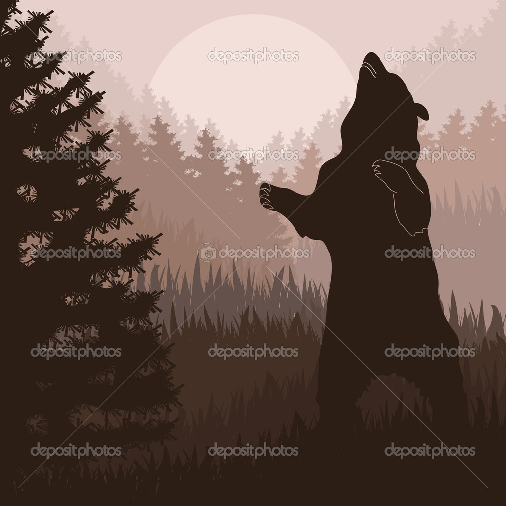 Animated Brown Bear In Wild Night Forest Foliage Illustration   Stock