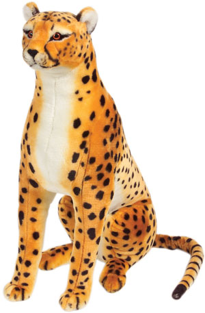 Cheetah Cartoon Pictures