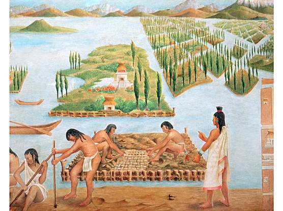 Chinampas  Los Aztecas Y Sus T Cnicas De Cultivo   Blogcurioso