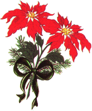 Clip Art Of Christmas Poinsettia Basket Clipart   Cliparthut   Free