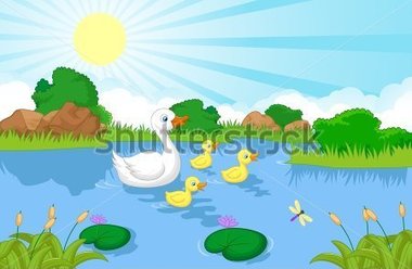 Duck Family Cartoon Swimming Stock Vector   Clipart Me
