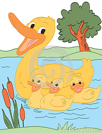Happy Duck Family Royalty Free Stock Photos   Image  25766888