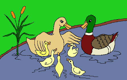 Mother Duck And Ducklings Clipart  1