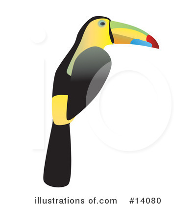 Toucan Clipart  14080   Illustration By Rasmussen Images