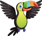 Toucan Clipart And Illustrations