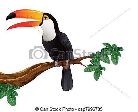 Vecteur Clipart De Toucan Oiseau   Vecteur Illustration Toucan