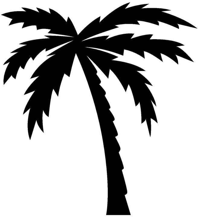 Black And White Palm Tree Clip Art   Cliparts Co