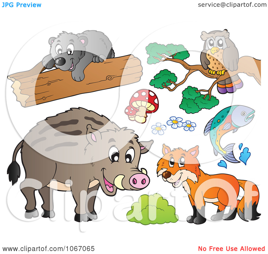 Clipart Forest Animals 1   Royalty Free Vector Illustration By