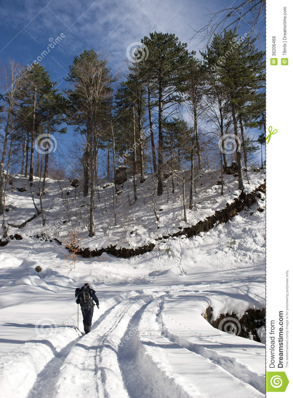 Hiking On Snow Royalty Free Stock Photos   Image  36206468
