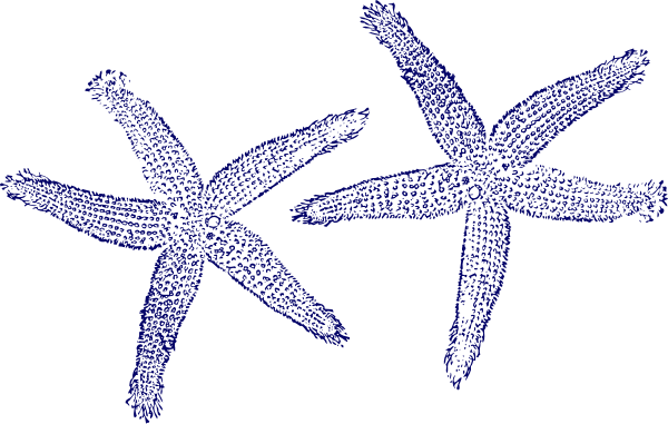 Navy Blue Twin Starfish Clip Art