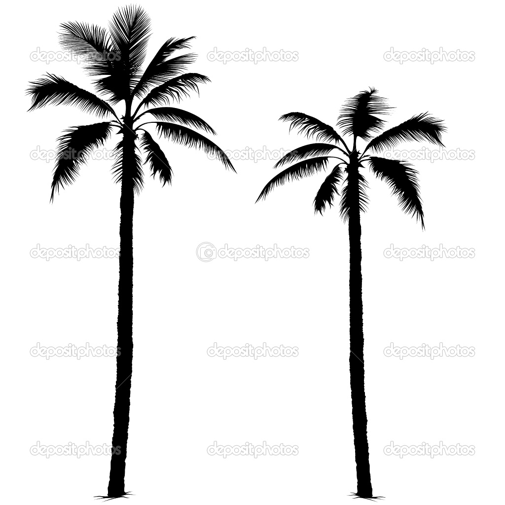 Palm Tree Clipart Black And White   Clipart Panda   Free Clipart