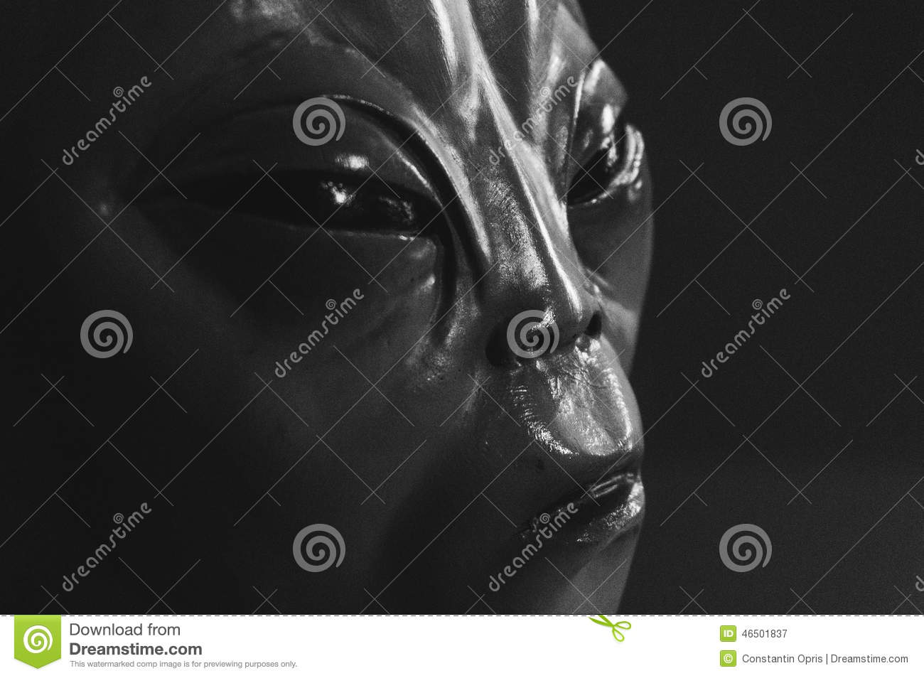 Alien Face Closeup In Black And White
