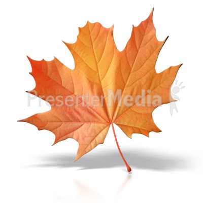 Autumn Leaf   Wildlife And Nature   Great Clipart For Presentations    