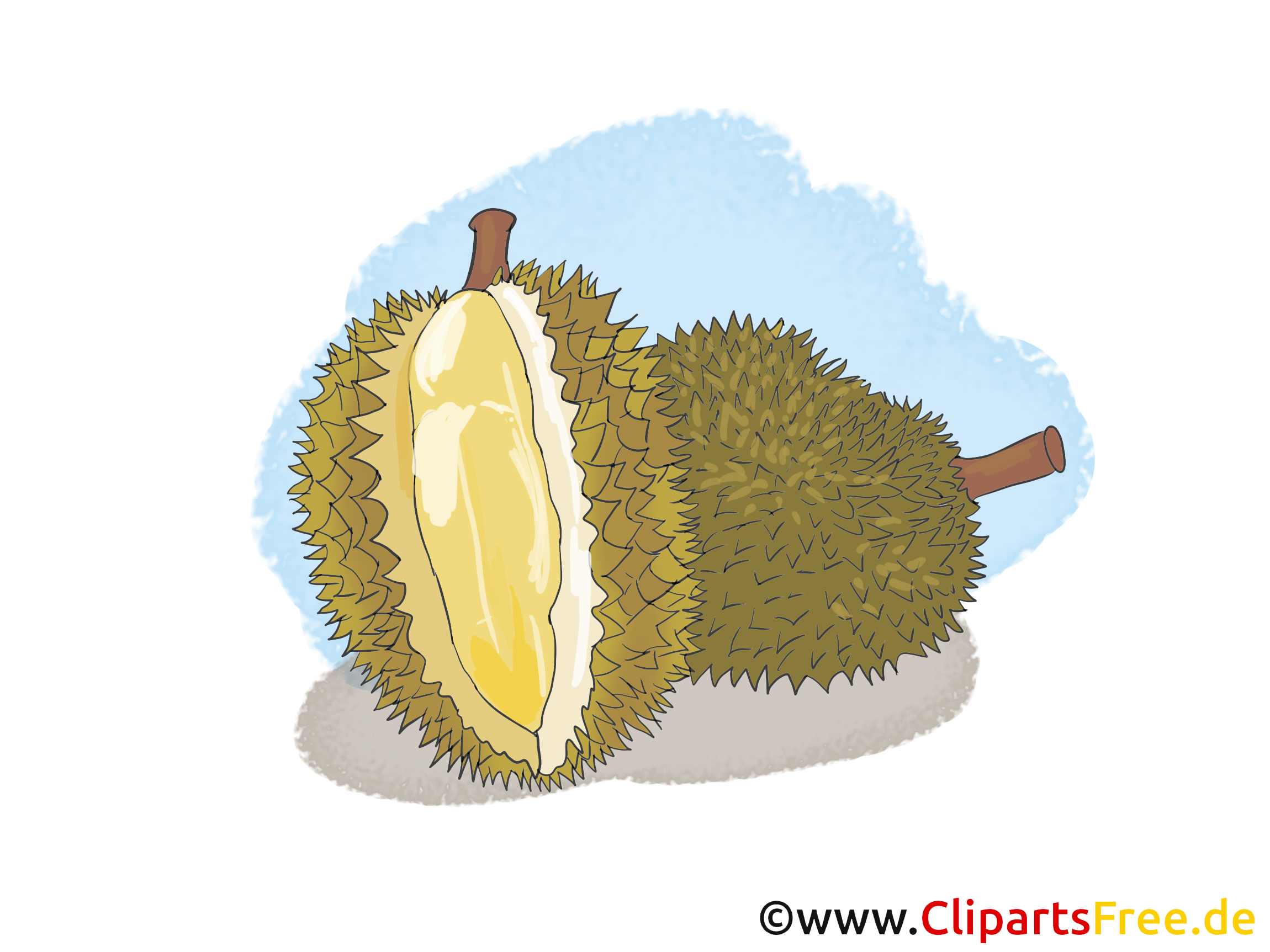 Bildtitel  Durian Illustration Bild Clipart Kostenlos