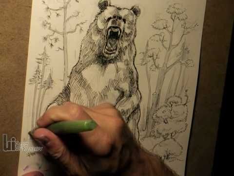 Drawing A Big Roaring Bear   Youtube