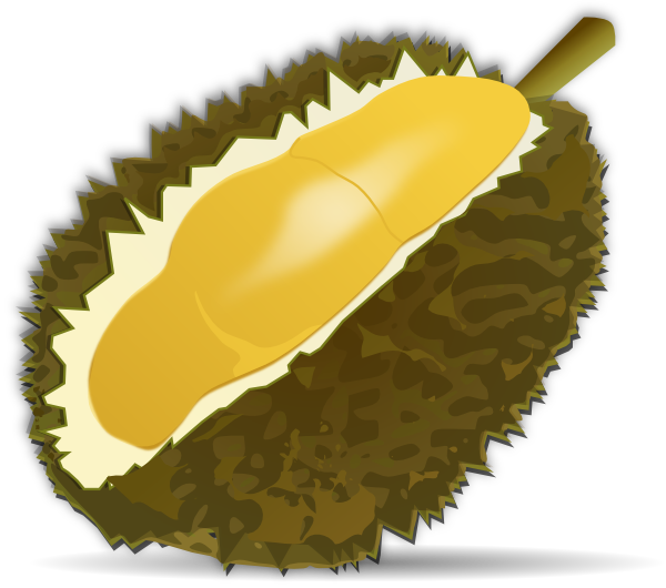 Durian Clip Art At Clker Com   Vector Clip Art Online Royalty Free