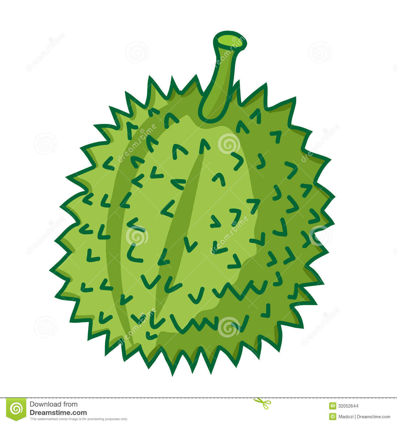 Durian The Tropical Fruit Isolated Illustration On White Background