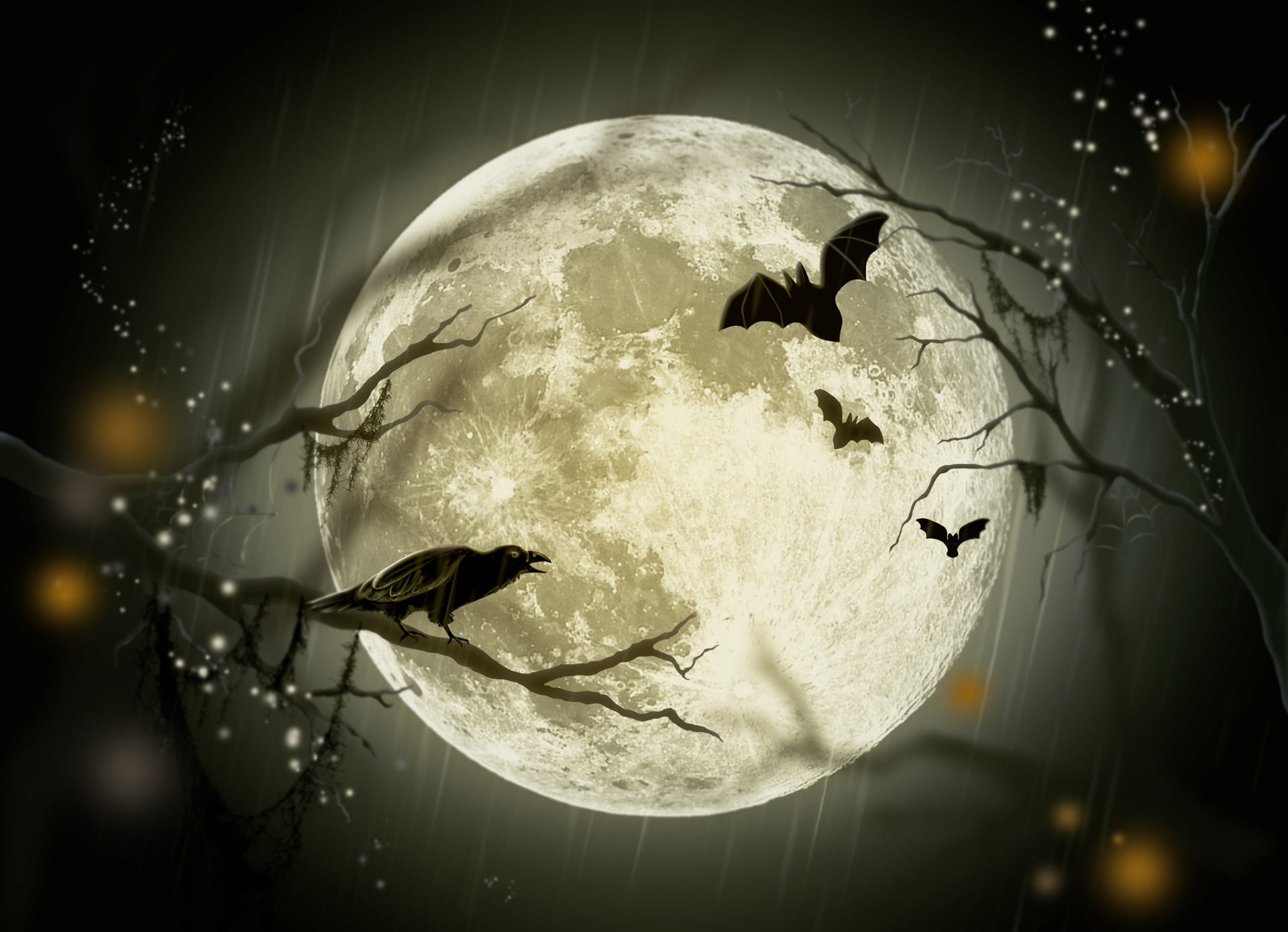 Full Moon And Black Crow And Bats Picture