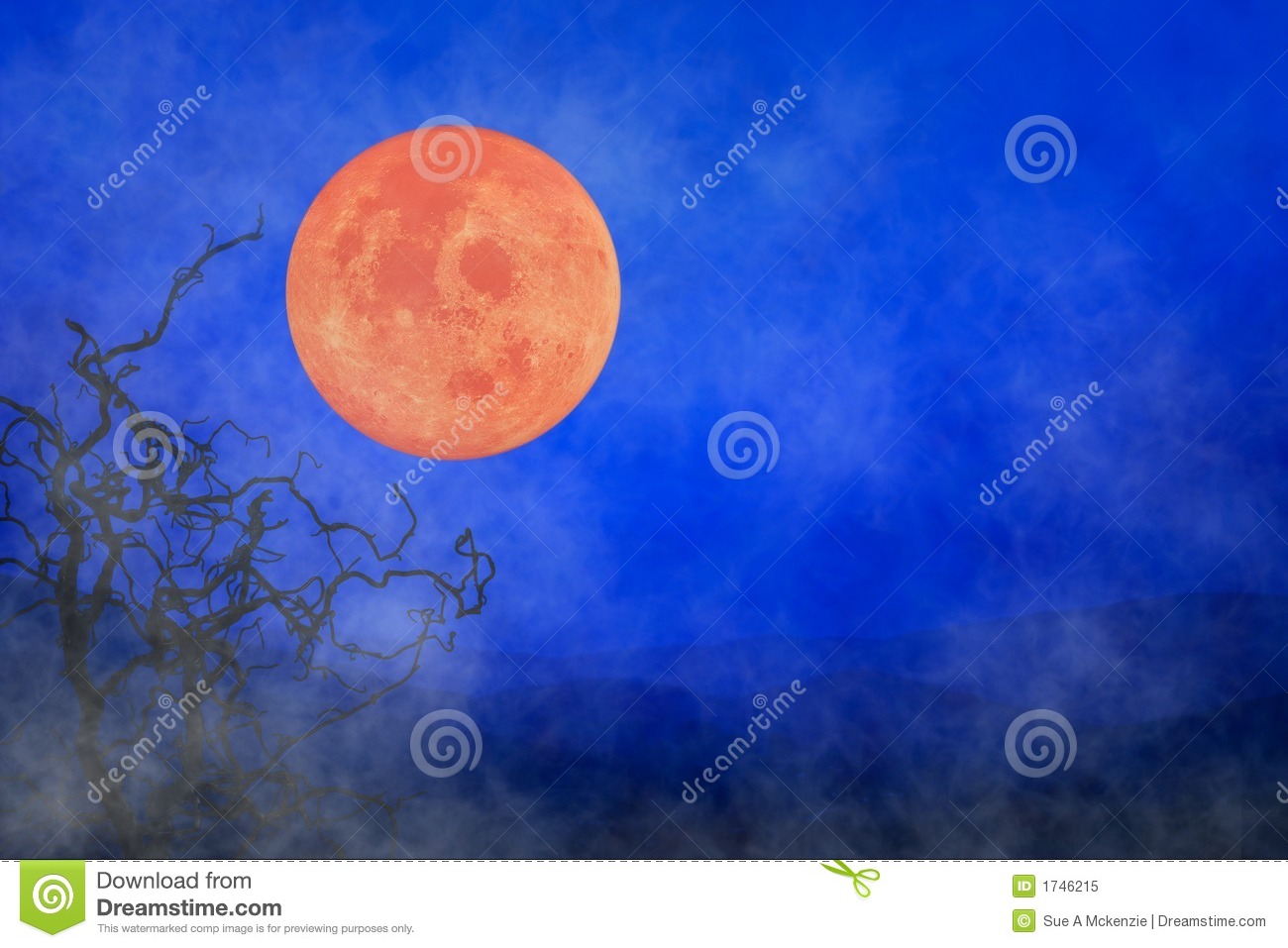 Halloween Background   Full Moon   Twisted Tree Branches Royalty Free