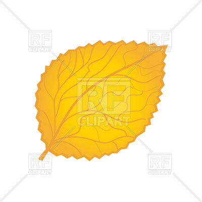Yellow Autumn Leaf Download Royalty Free Vector Clipart  Eps 