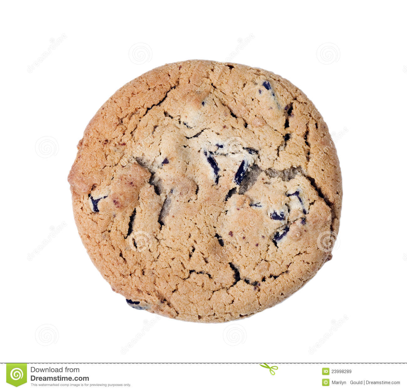 Chocolate Chip Cookie Royalty Free Stock Images   Image  23998289