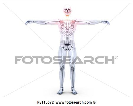 Clip Art   Sore Throat   Anatomy   Fotosearch   Search Clipart    