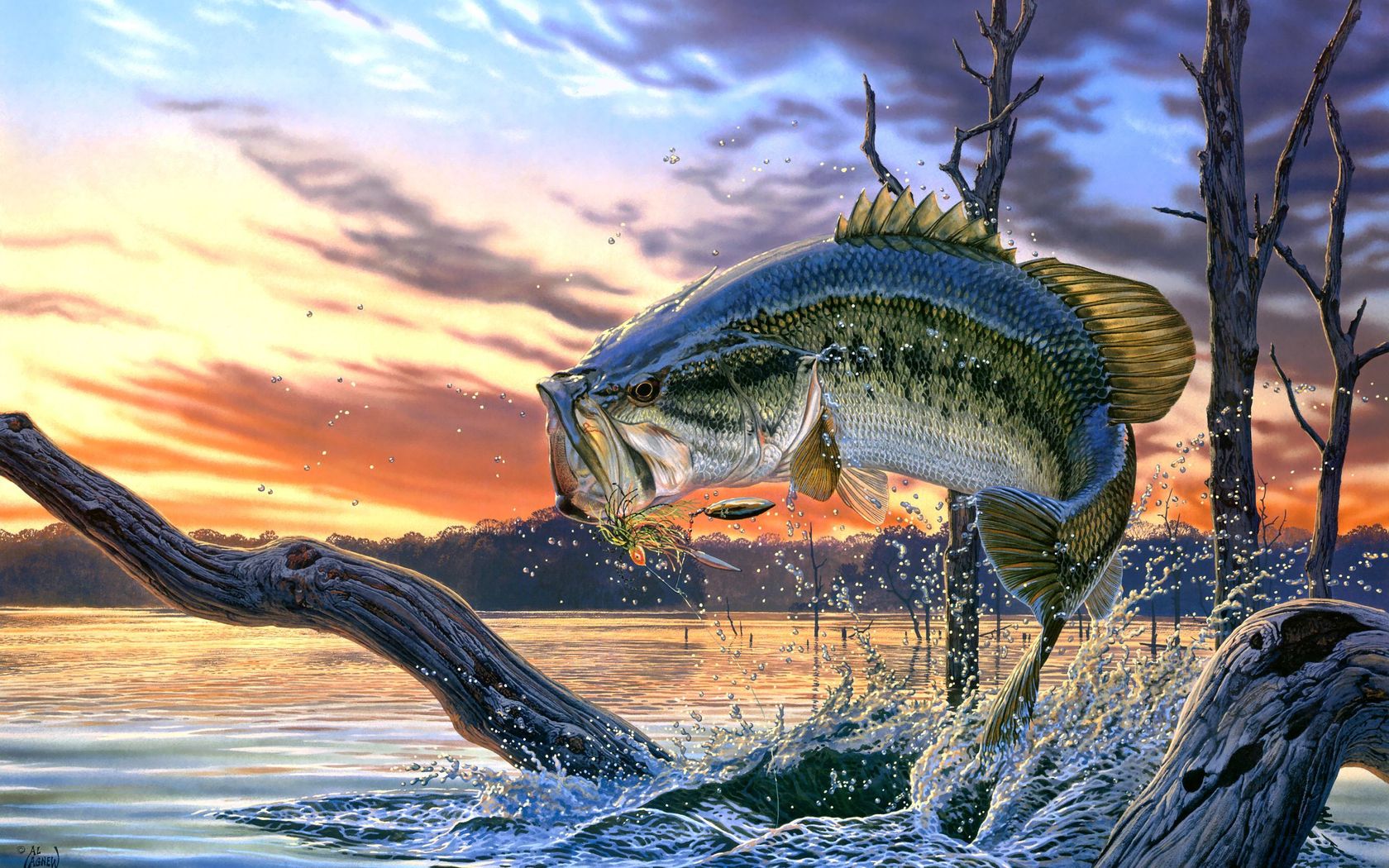 Largemouth Bass Fishing Wallpaper Background Screensaver   Best Bass