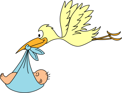 Stork Delivery Baby 2    People Baby Stork Stork Delivery Baby 2 Png