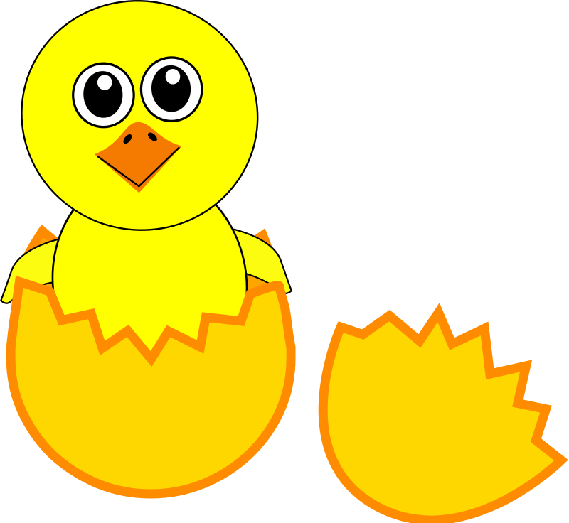 The Egg 100705 Funny Chick Cartoon Newborn Coming Out From The Egg Png