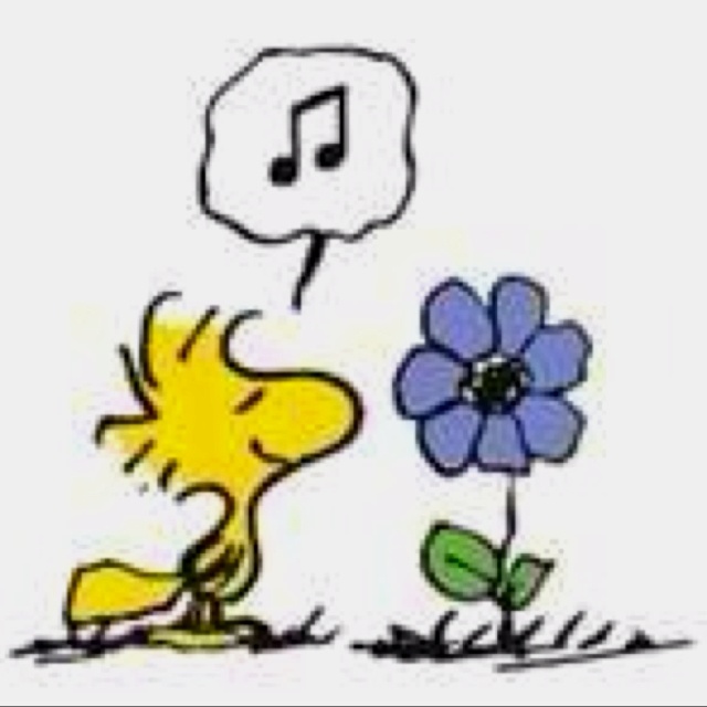 Woodstock   Snoopy   Pinterest