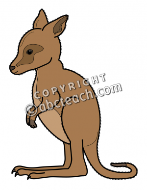 Baby Kangaroo Clipart Images   Pictures   Becuo