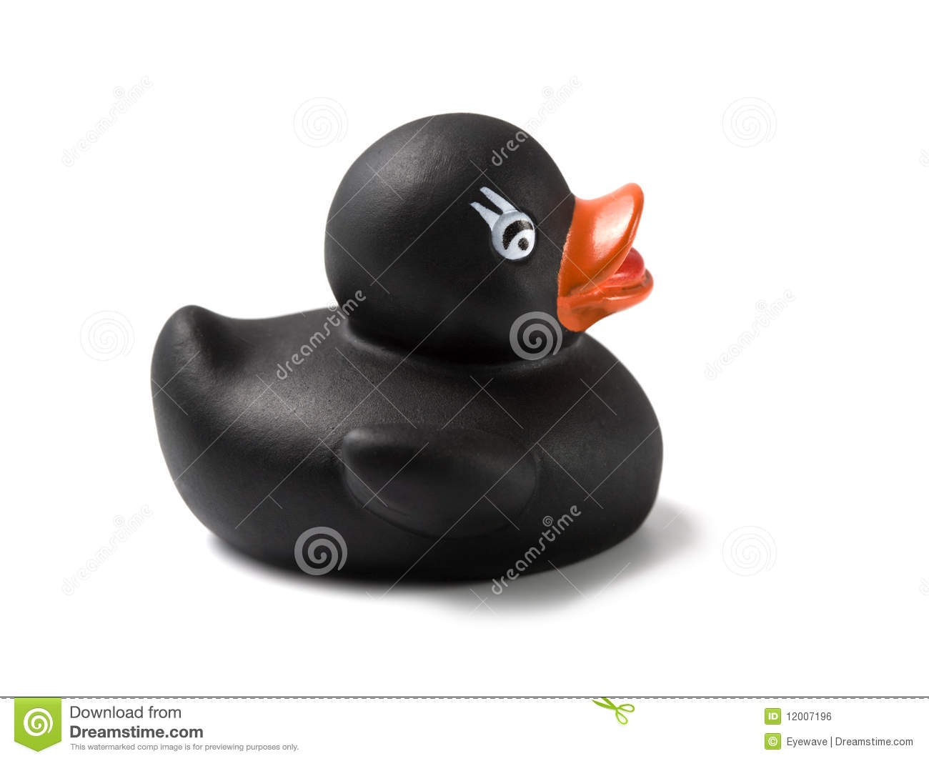Black Rubber Ducky Royalty Free Stock Image   Image  12007196